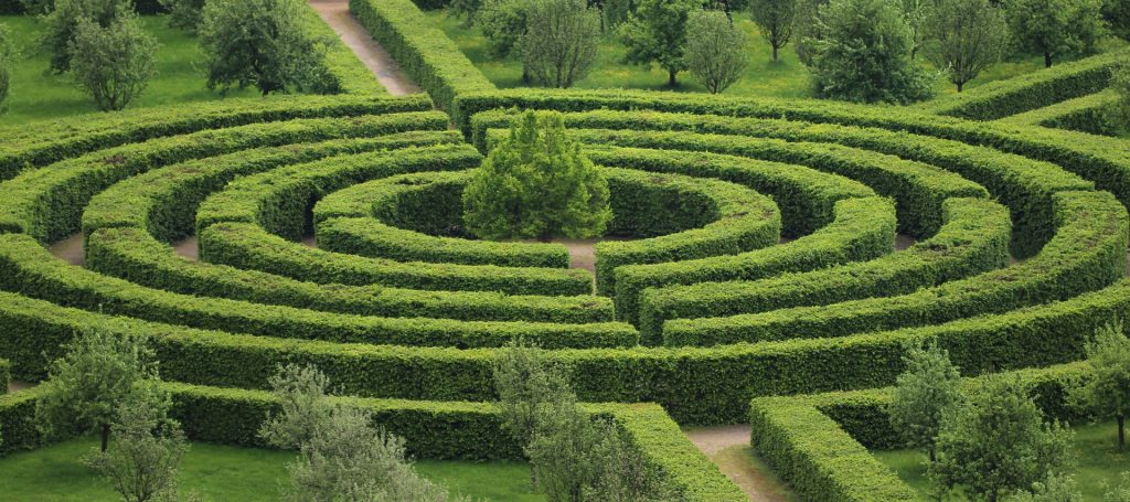 Shrub Maze